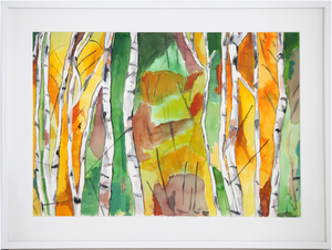 Colorful Birch Trees